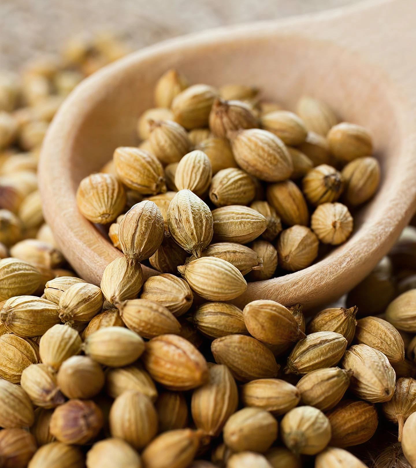 Coriander Powder